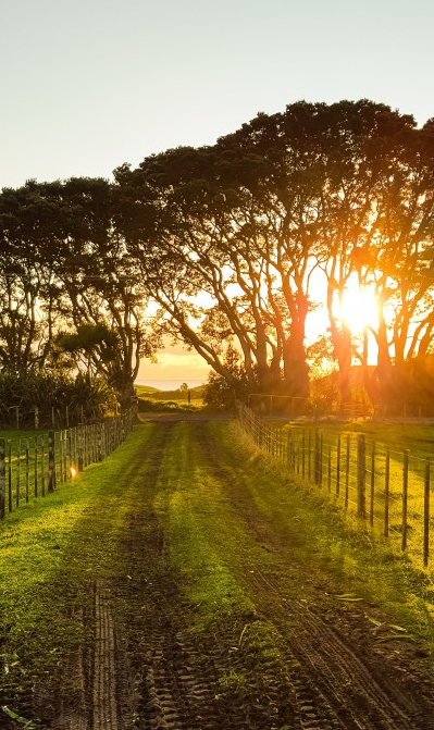 Dirt road leading to farm with sunset backdrop 